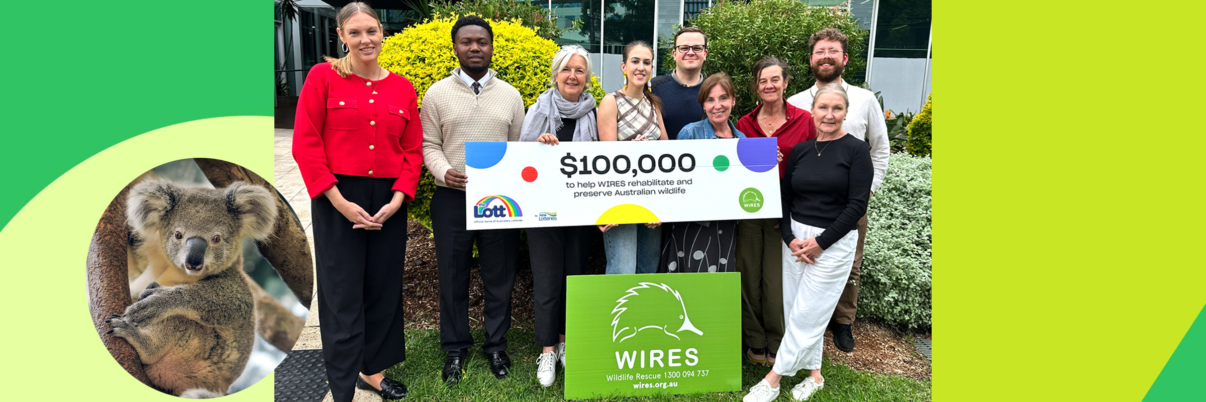 Our $100,000 to complete new koala rehabilitation centre in NSW Hero Image